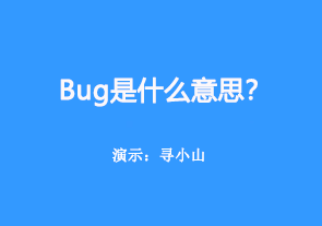 bug是什么意思