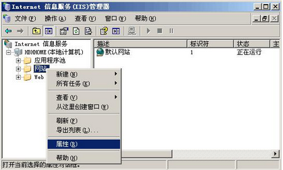 iis是什么意思