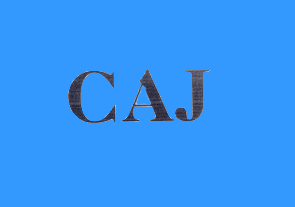 caj文件