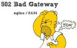 502 bad gateway