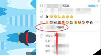 qq特别关心
