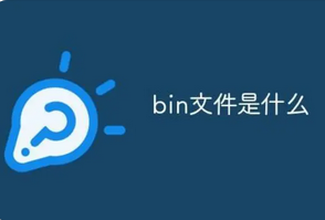 bin是什么文件格式