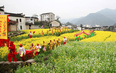 江西棉船油菜花