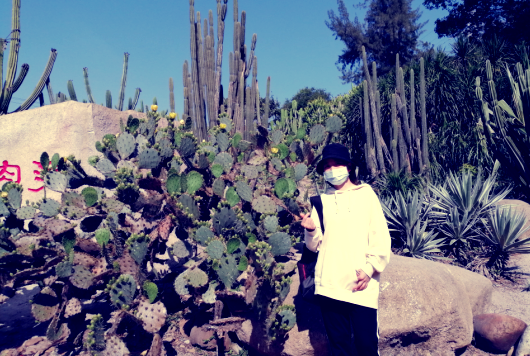厦门植物园旅游