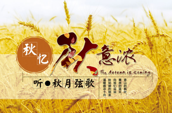 适合秋天听的音乐
